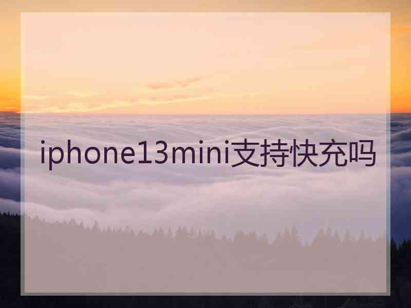 iphone13mini支持快充吗