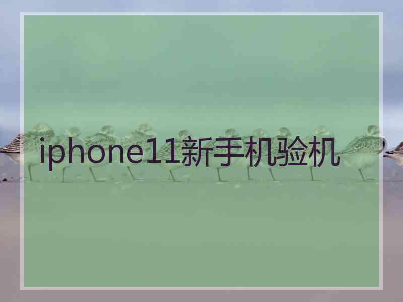 iphone11新手机验机