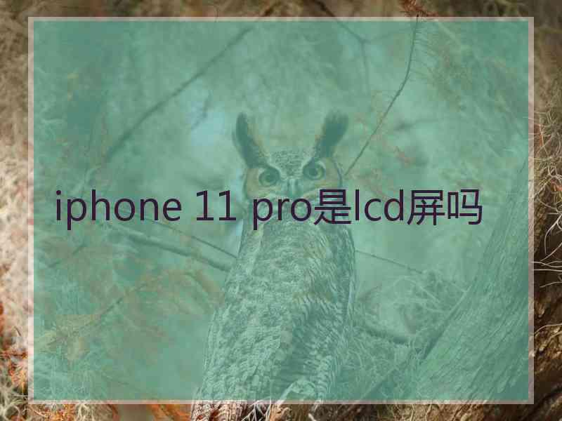 iphone 11 pro是lcd屏吗