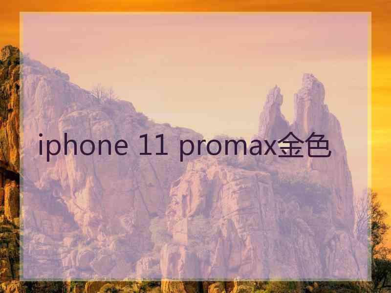 iphone 11 promax金色