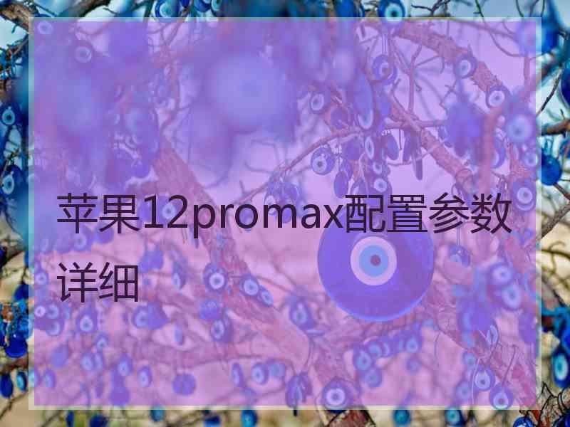 苹果12promax配置参数详细