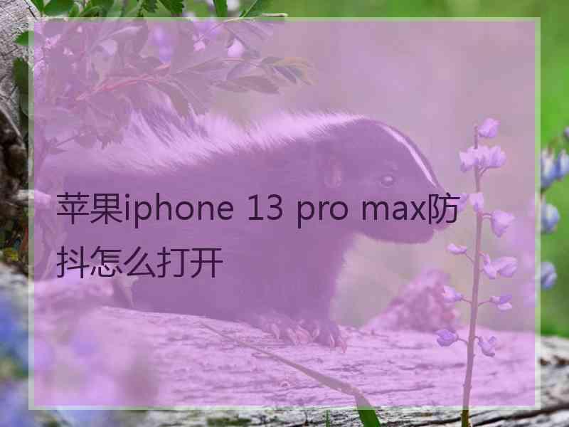 苹果iphone 13 pro max防抖怎么打开