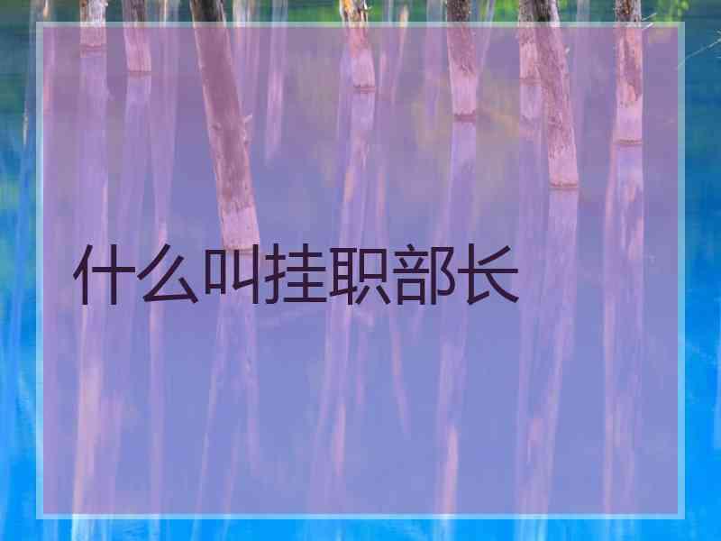 什么叫挂职部长