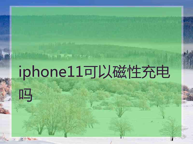 iphone11可以磁性充电吗