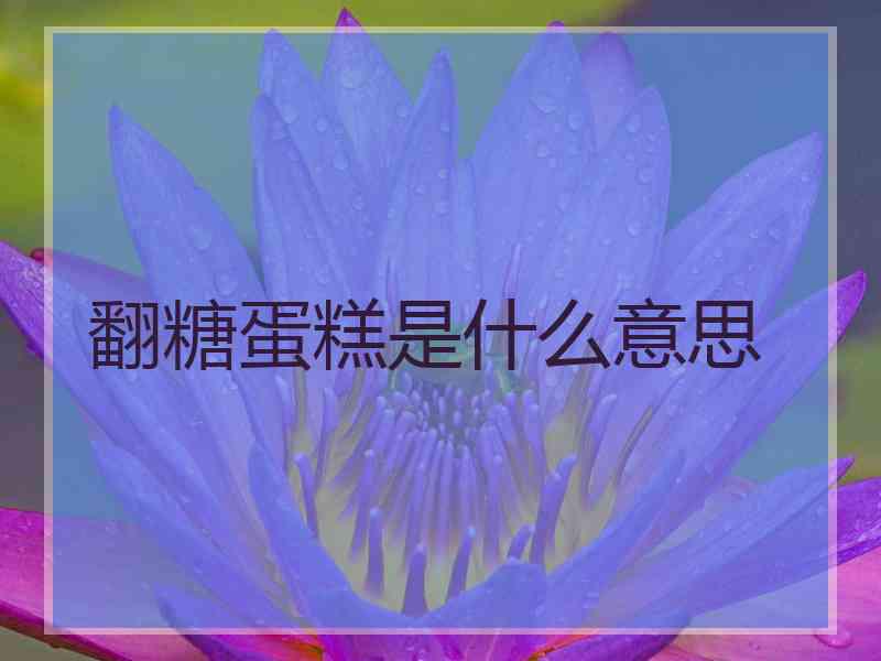 翻糖蛋糕是什么意思