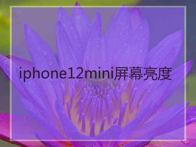 iphone12mini屏幕亮度