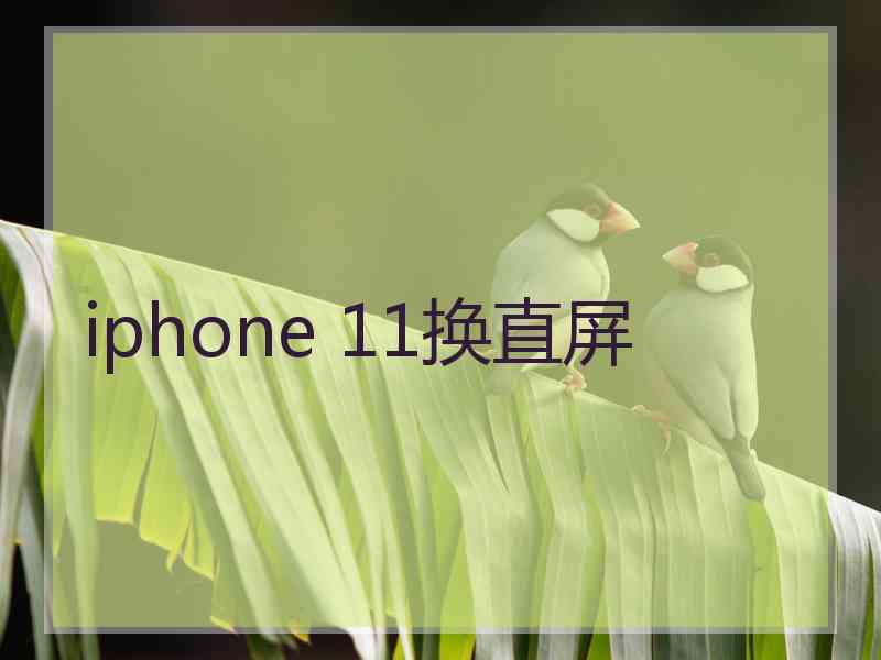 iphone 11换直屏