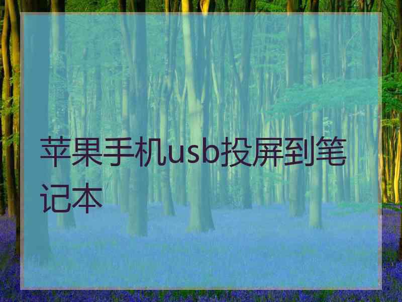 苹果手机usb投屏到笔记本