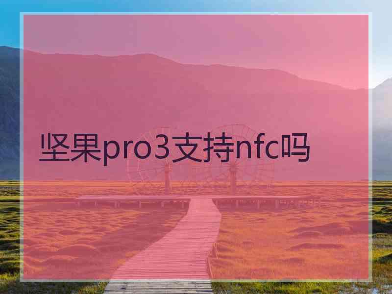 坚果pro3支持nfc吗