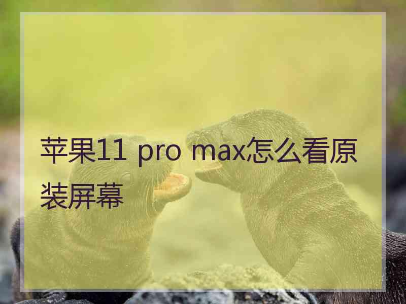 苹果11 pro max怎么看原装屏幕