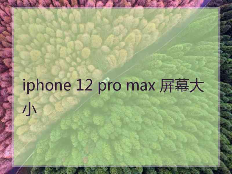 iphone 12 pro max 屏幕大小