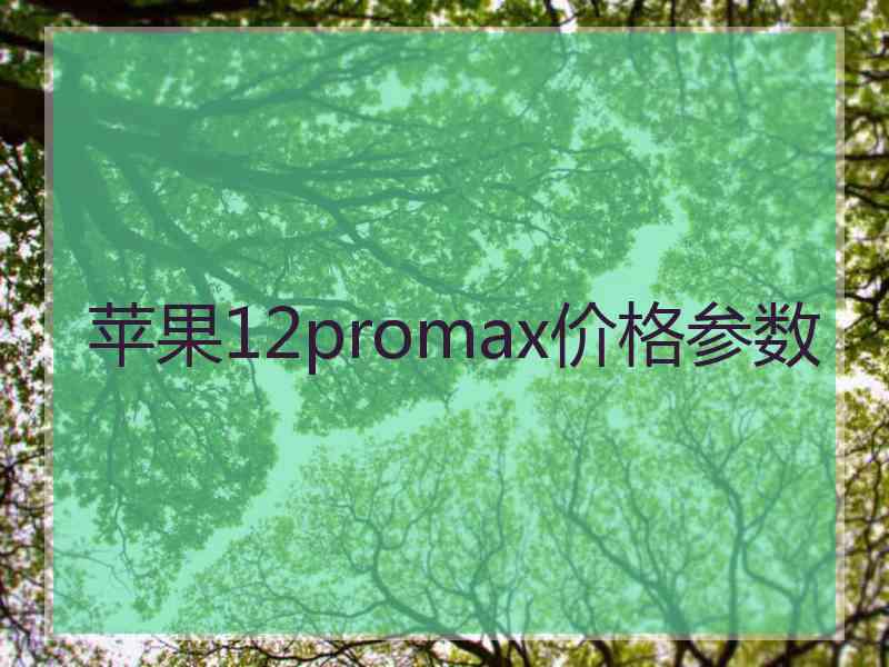 苹果12promax价格参数