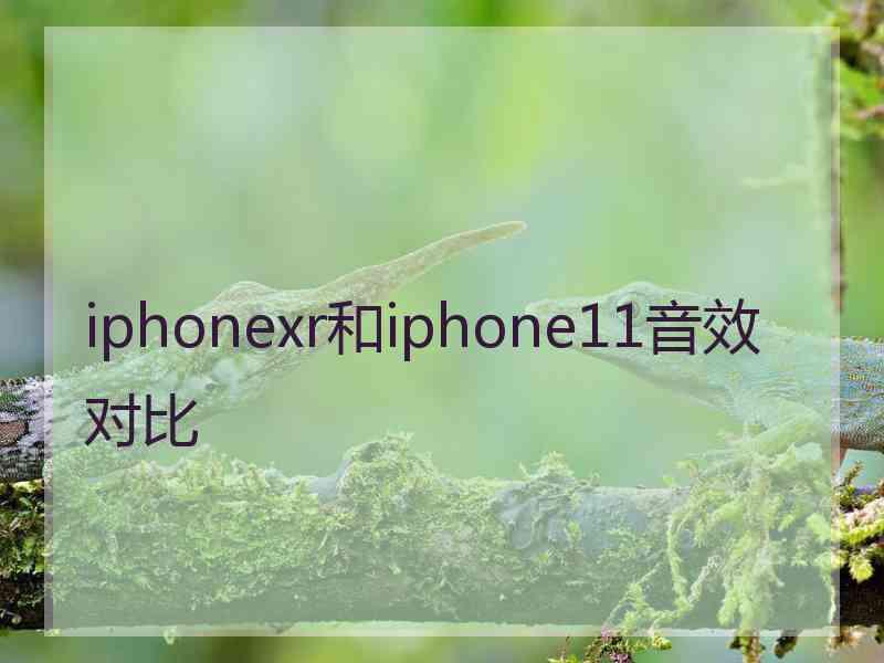 iphonexr和iphone11音效对比