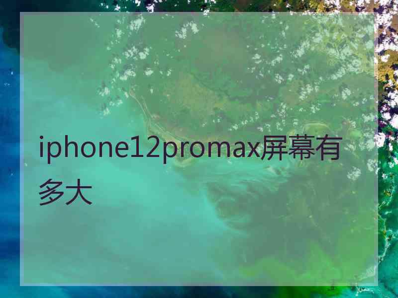 iphone12promax屏幕有多大