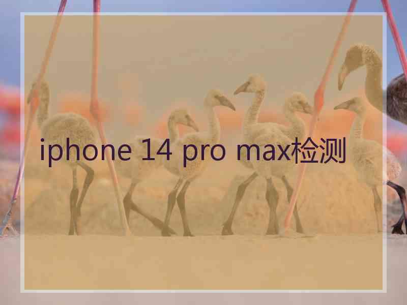 iphone 14 pro max检测