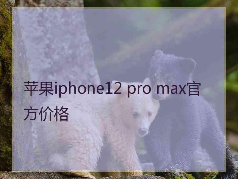 苹果iphone12 pro max官方价格