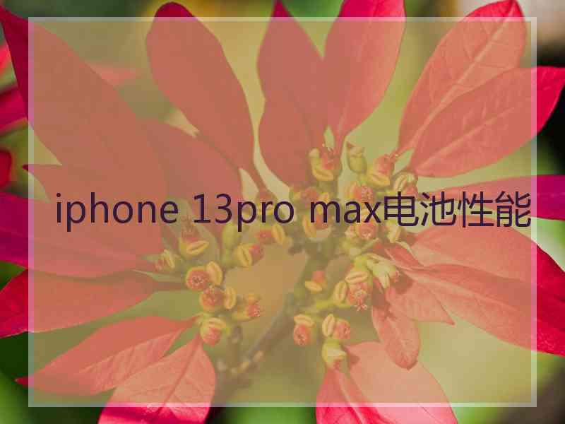 iphone 13pro max电池性能