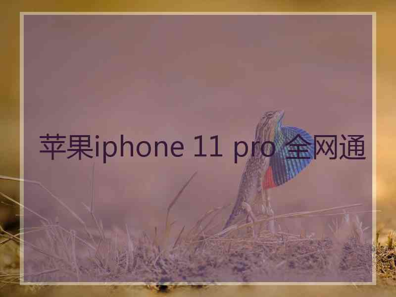 苹果iphone 11 pro 全网通