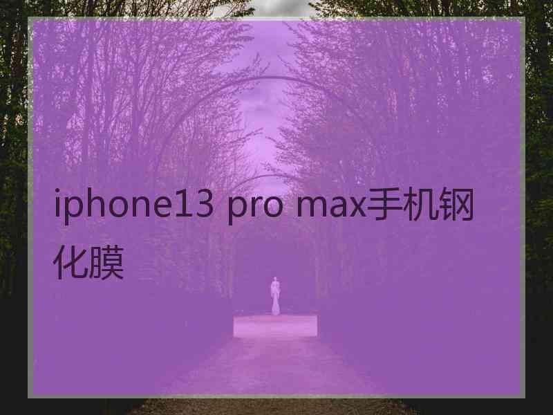 iphone13 pro max手机钢化膜