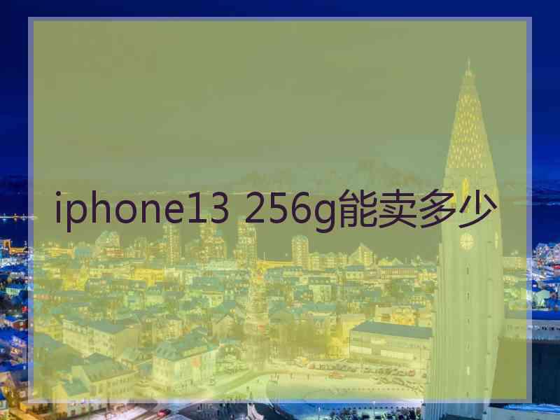 iphone13 256g能卖多少