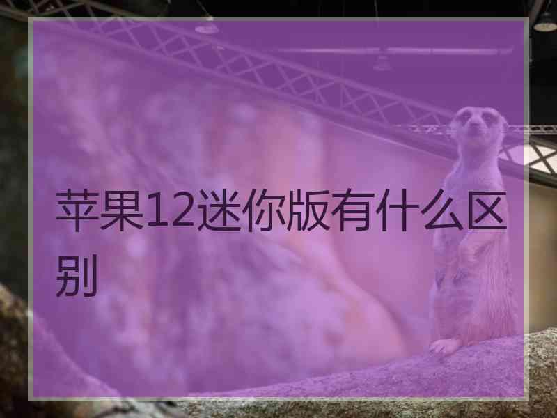 苹果12迷你版有什么区别