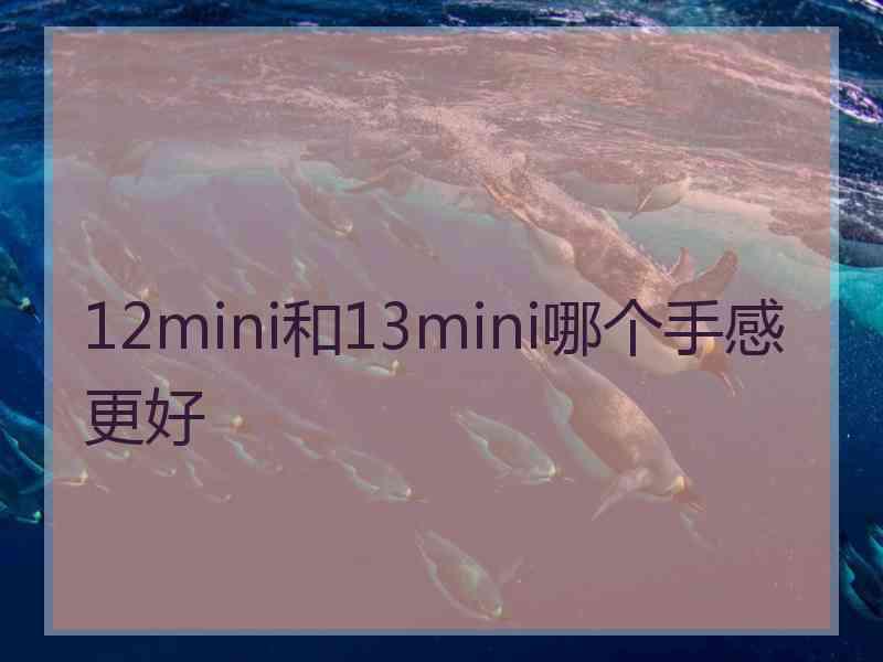 12mini和13mini哪个手感更好