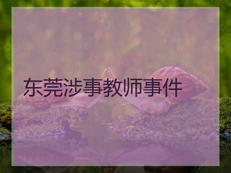 东莞涉事教师事件