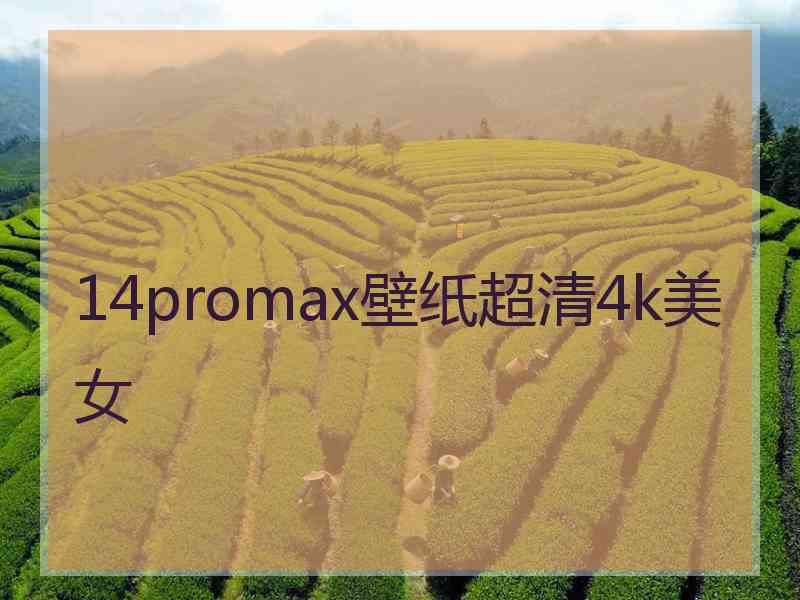 14promax壁纸超清4k美女