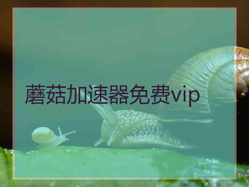 蘑菇加速器免费vip