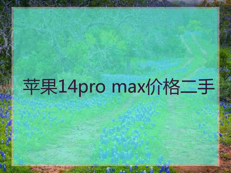 苹果14pro max价格二手