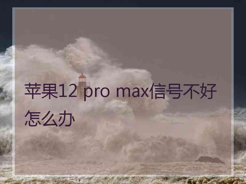 苹果12 pro max信号不好怎么办