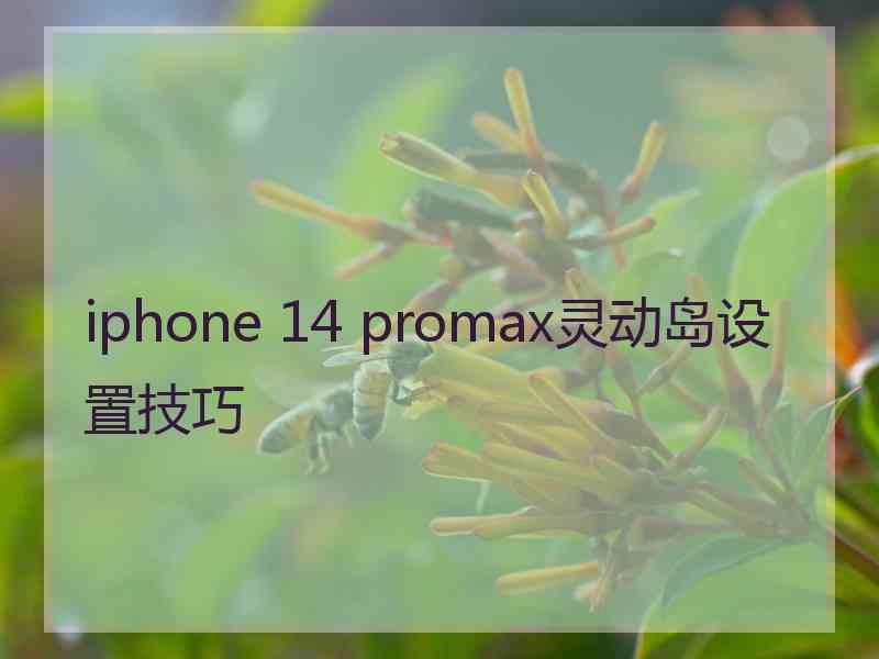 iphone 14 promax灵动岛设置技巧