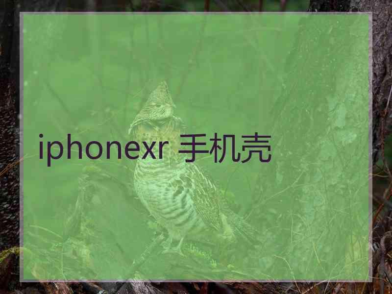 iphonexr 手机壳