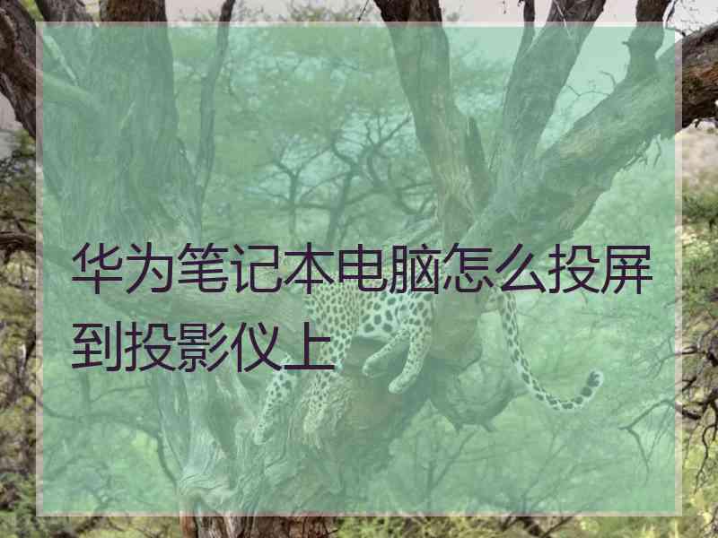 华为笔记本电脑怎么投屏到投影仪上