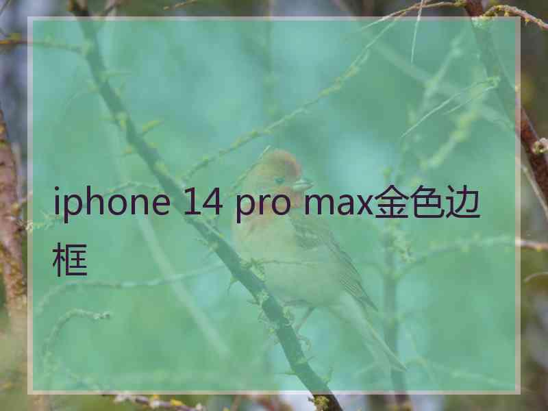 iphone 14 pro max金色边框