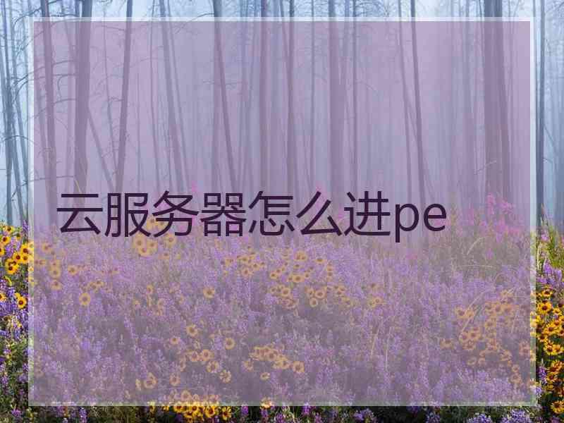 云服务器怎么进pe