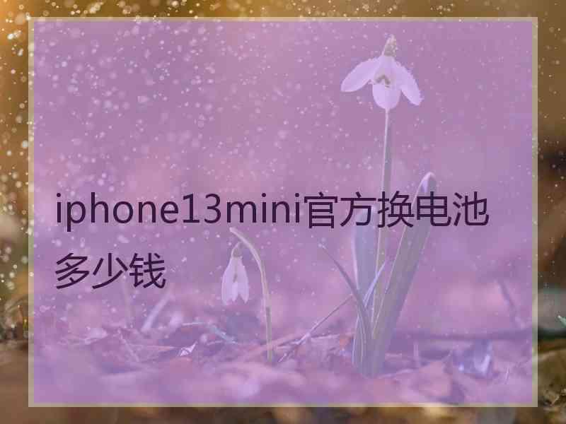 iphone13mini官方换电池多少钱