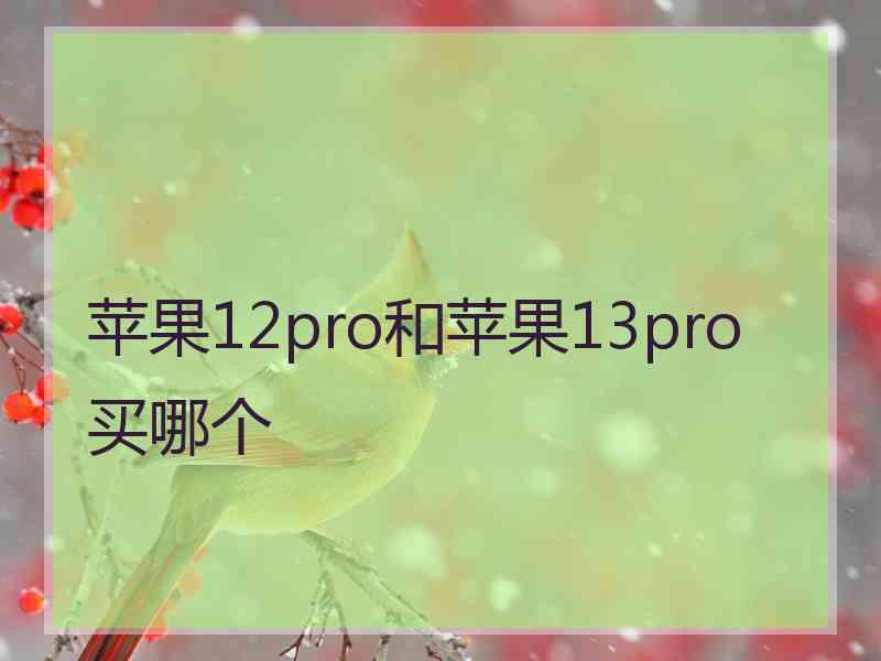 苹果12pro和苹果13pro买哪个