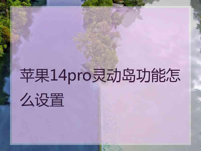 苹果14pro灵动岛功能怎么设置