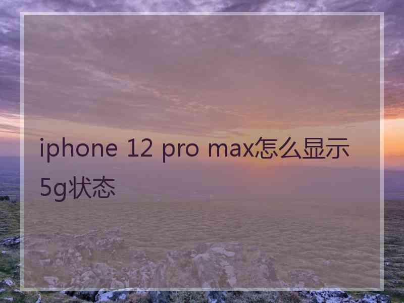 iphone 12 pro max怎么显示5g状态