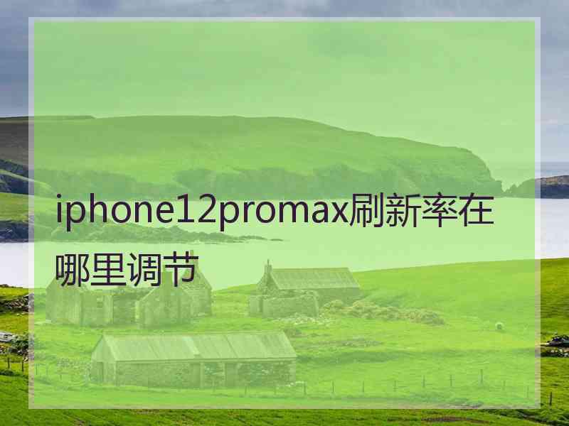 iphone12promax刷新率在哪里调节