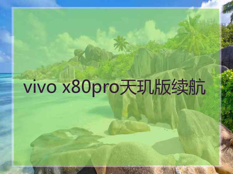 vivo x80pro天玑版续航