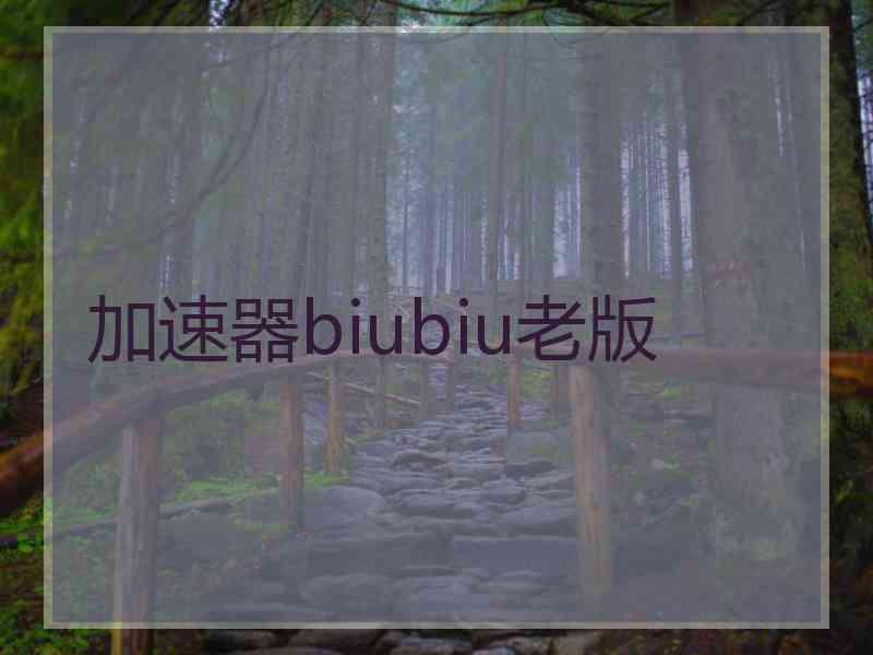 加速器biubiu老版