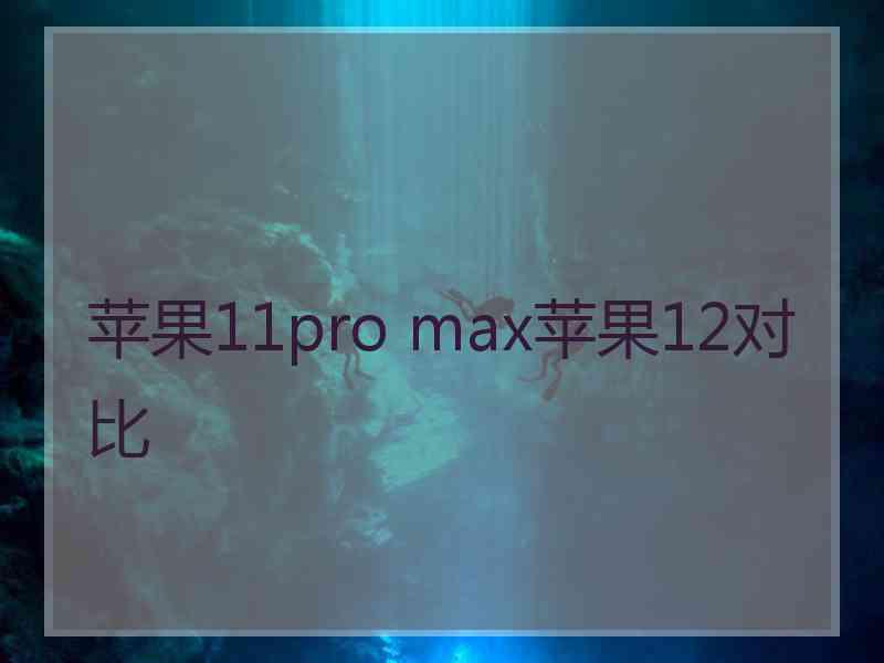 苹果11pro max苹果12对比