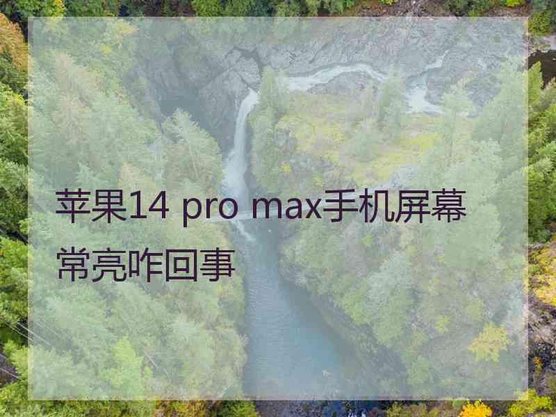 苹果14 pro max手机屏幕常亮咋回事