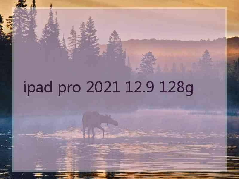 ipad pro 2021 12.9 128g