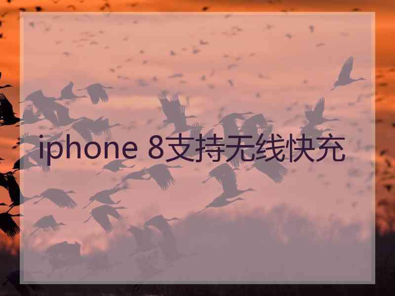 iphone 8支持无线快充