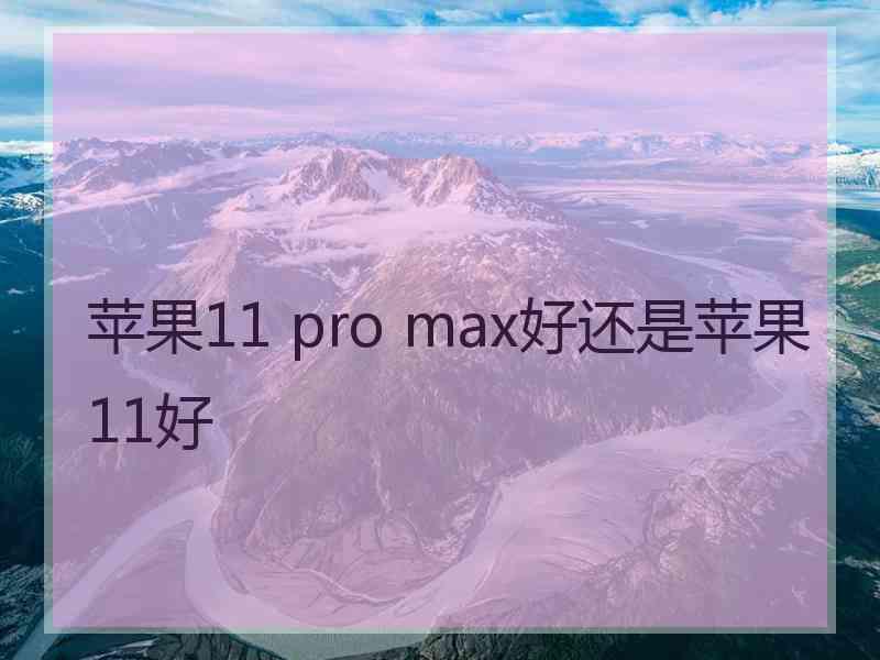 苹果11 pro max好还是苹果11好