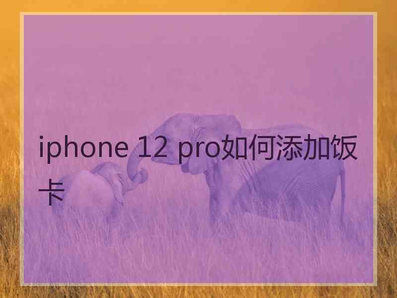 iphone 12 pro如何添加饭卡