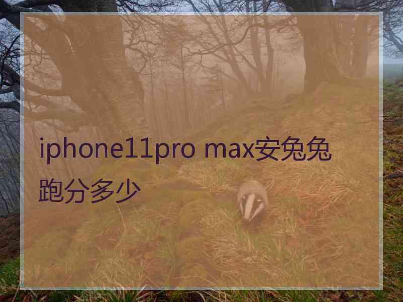 iphone11pro max安兔兔跑分多少